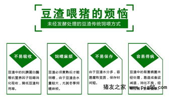 精選益生菌發(fā)酵豆渣 科學(xué)飼喂保障豬只健康與高效遠程管理