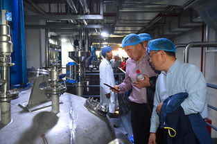 上海蜂花智能工廠投產，4億元投資驅動產業升級與互聯網銷售新布局